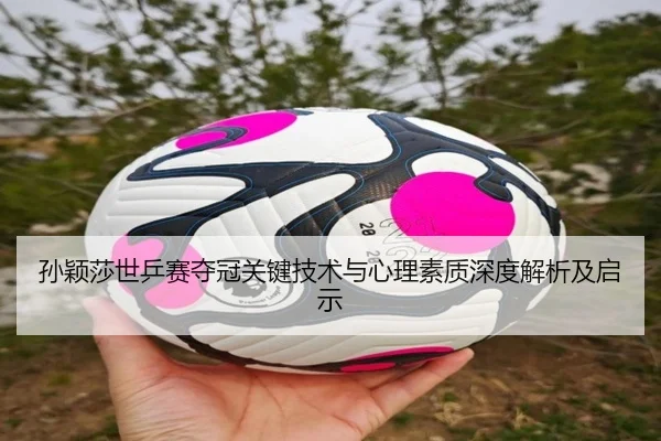 img_1791454714685_462_0_222.jpg（JINNIANHUI SPORTS）